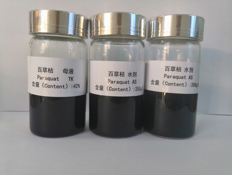 百草枯Paraquat.jpg